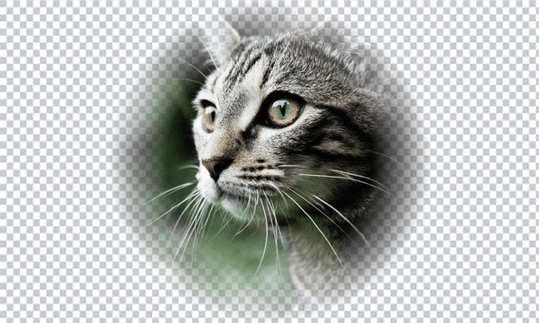 Professionele halftoonverwerking